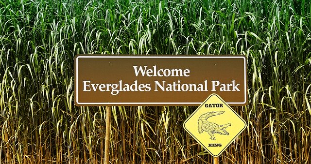 Le parc national des Everglades en Floride