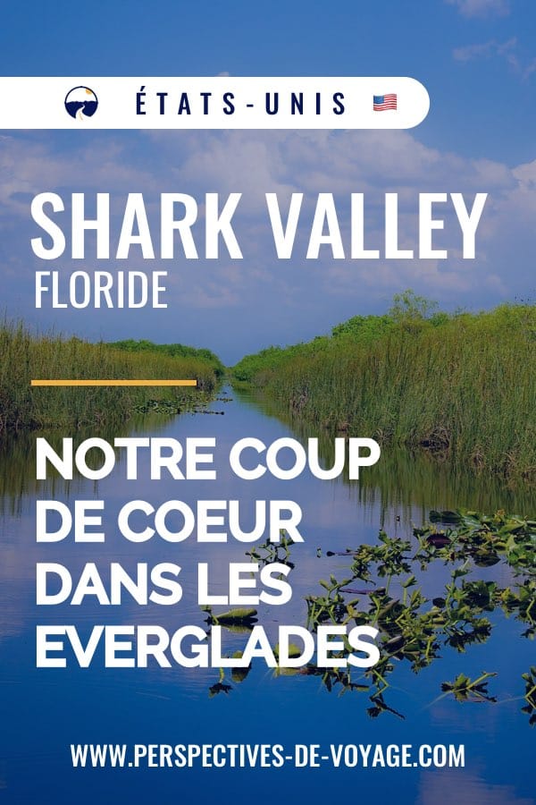 Shark Valley, notre coup de coeur dans les Everglades