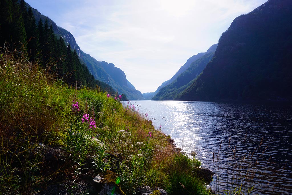 fjord norvegien