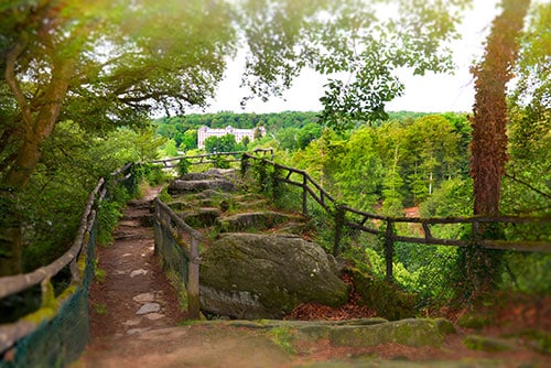 Photographie du point de vue du Roc au Chien à Bagnoles de l'Orne