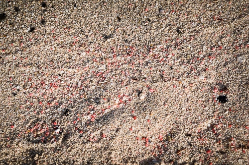 Photographie des cristaux de sable à Elafonisi