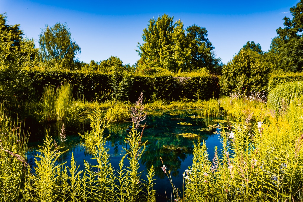 photo lac et plantes jardin de chaumont