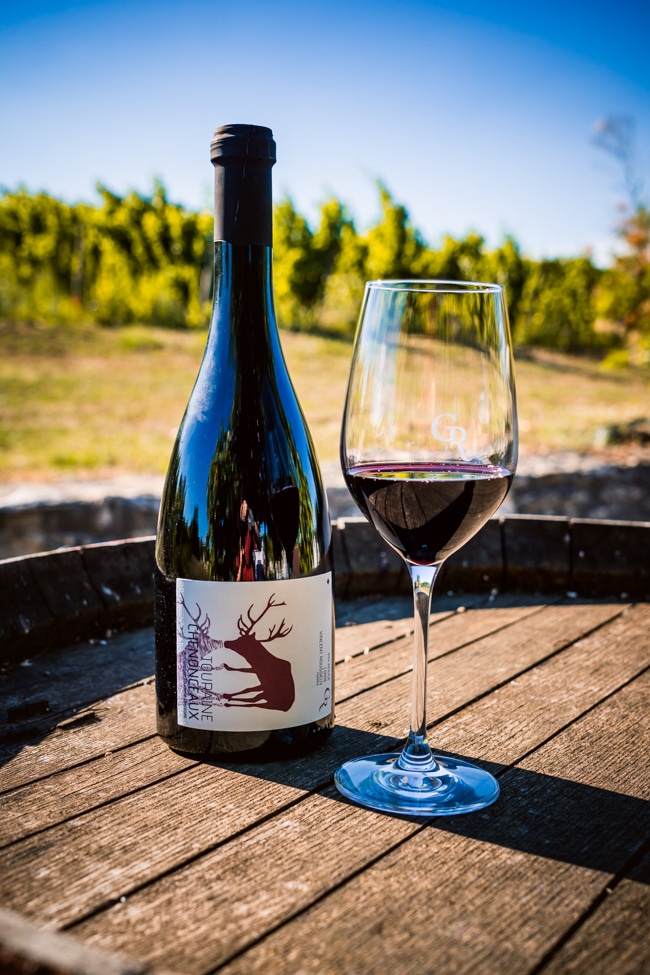 Bouteille et verre de vin devant les vignobles du Clos Roussely