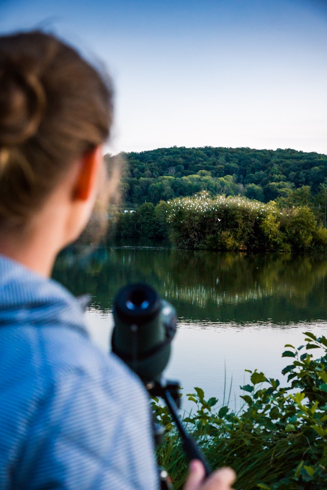Femme observant les oiseaux à la longue vue sur un étang de pont audemer