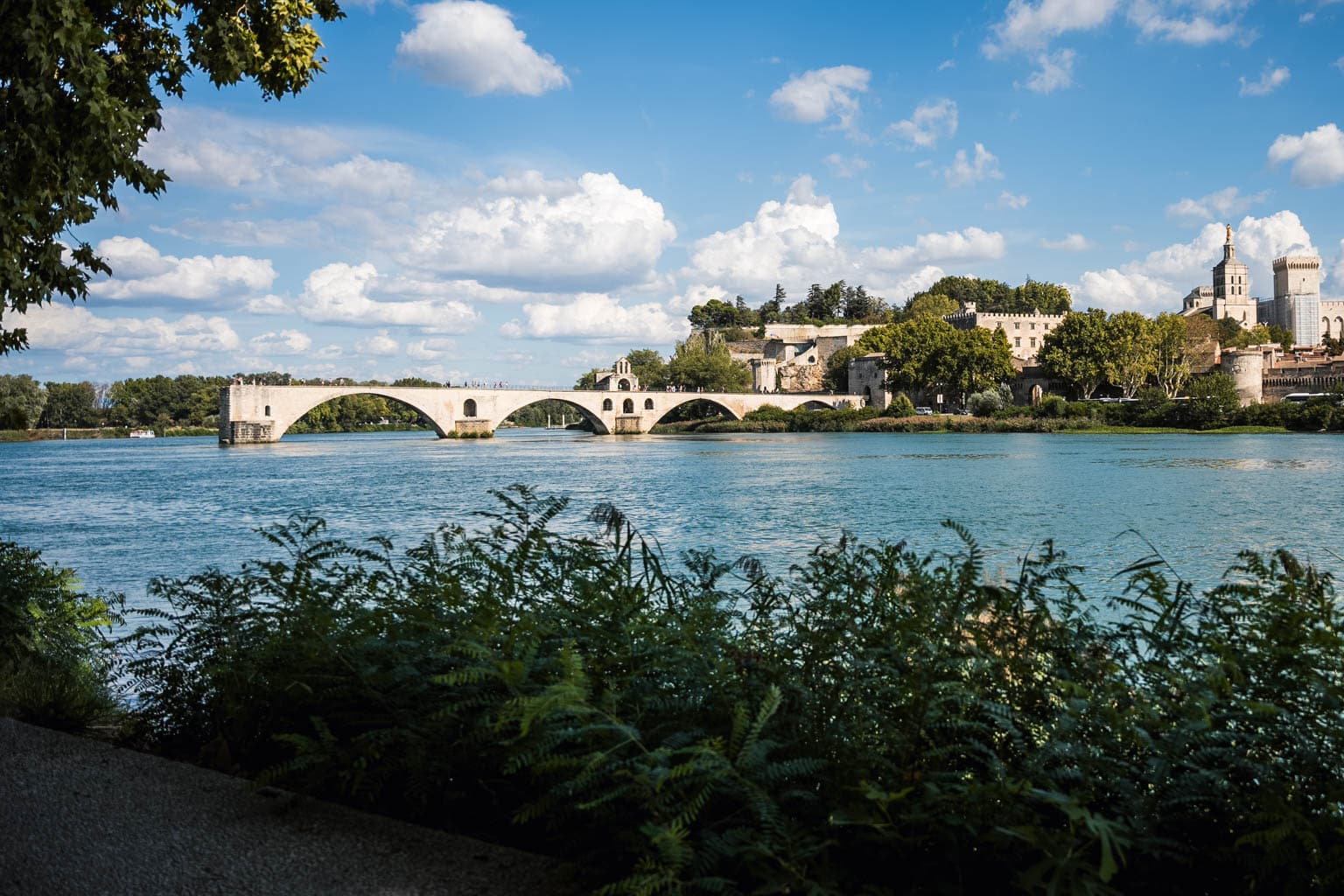 Pont Bénézet vu depuis l'île de la Barthelasse face à la vieille ville d'Avignon