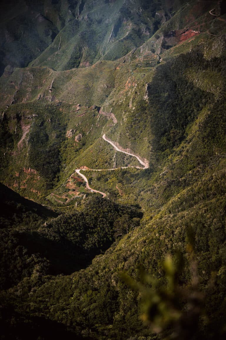 Route traversant le parc d'anaga