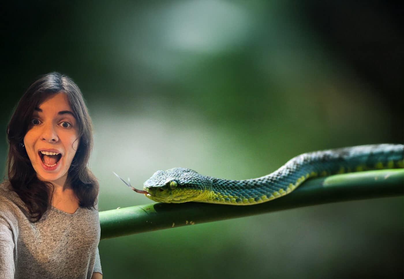 Pourquoi je ne voyagerai plus jamais sans assurance voyage ?! (Ou l’histoire de la morsure de serpent en Thaïlande)