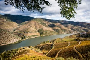 Photo de la vallée du Douro au Portugal