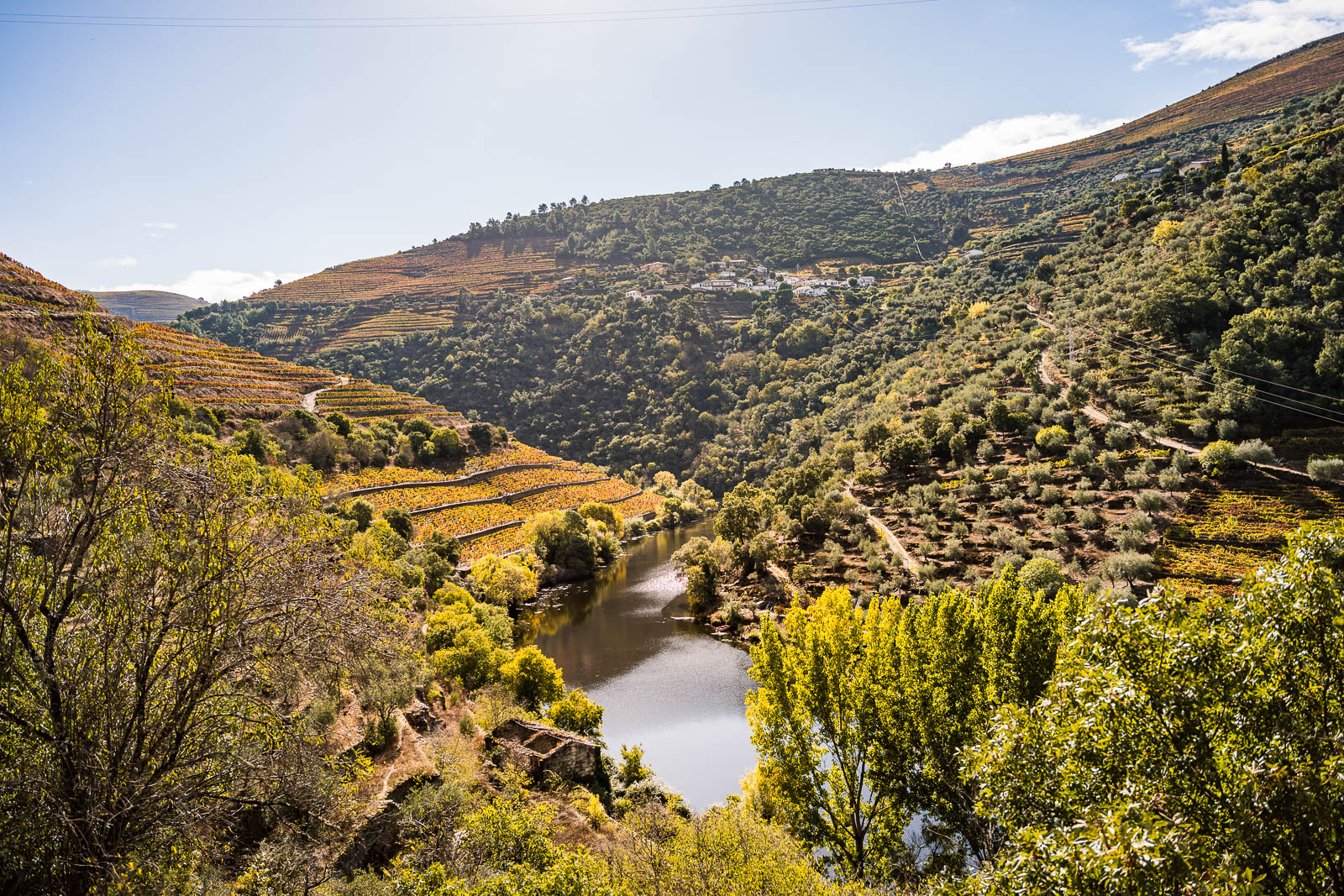Photo de la vallée du Douro