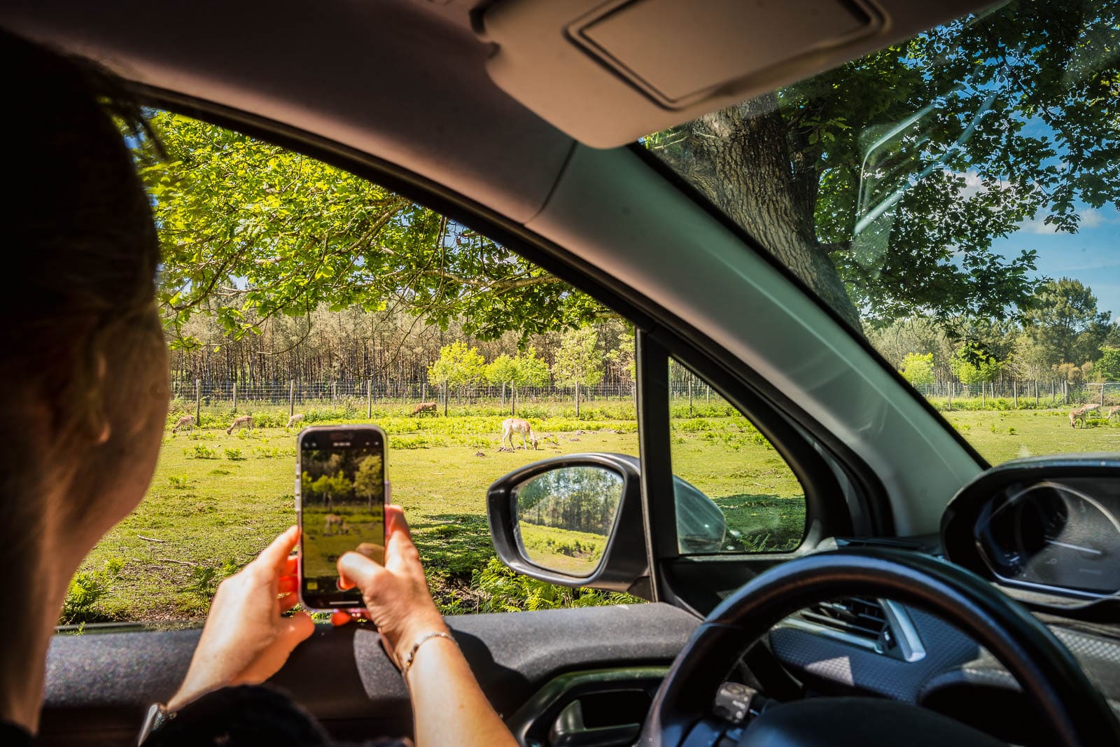 Femme au volant d une voiture a la reserve de la haute touche