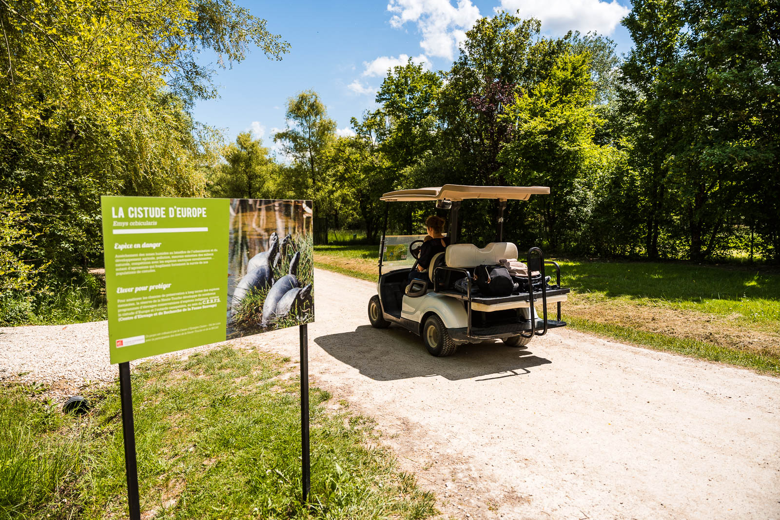 Voiturettes electriques dans le parc de la haute touche dans l indre