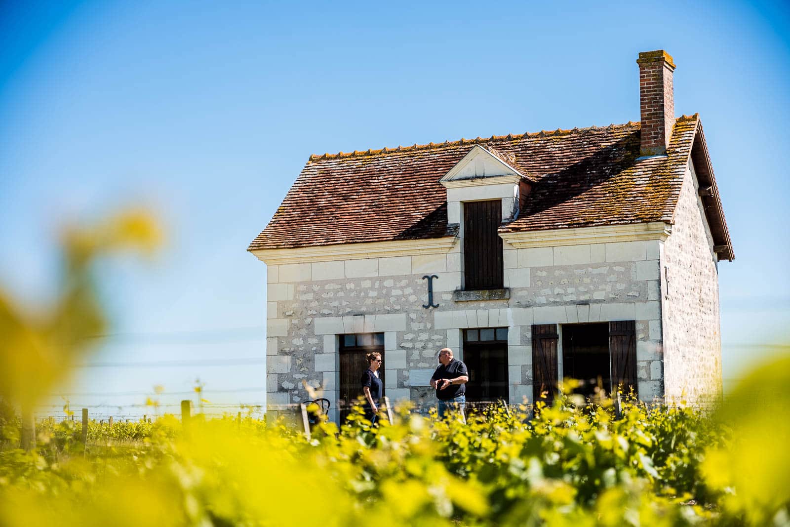 Visite d une loge de vigne dans le vigne de Valencay