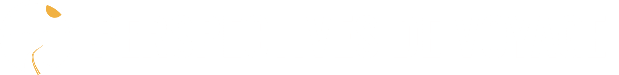 Logo blanc Perspectives de voyage