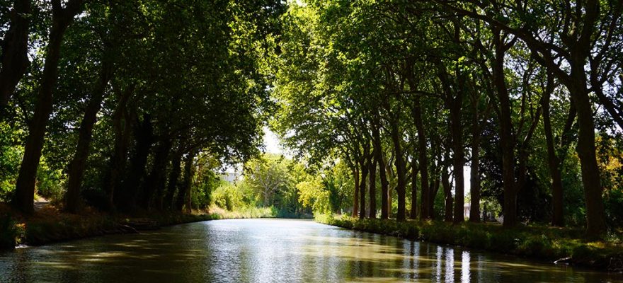 Photographie du Canal du Midi à Carcassonne