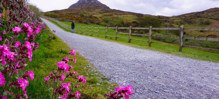 Connemara road trip Irlande