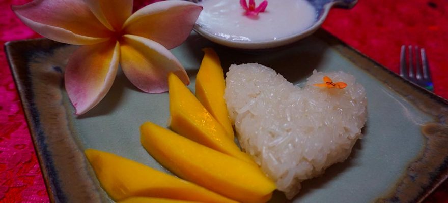 Mango sticky rice, cours de cuisine chiang mai