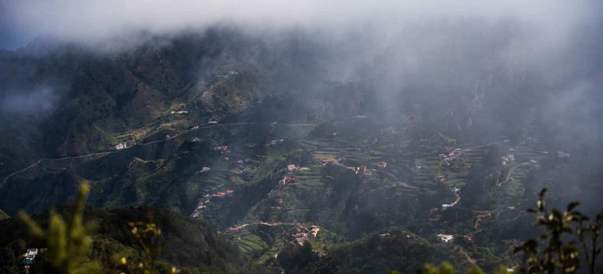 Point de vue sur la foret priimaire d'anaga