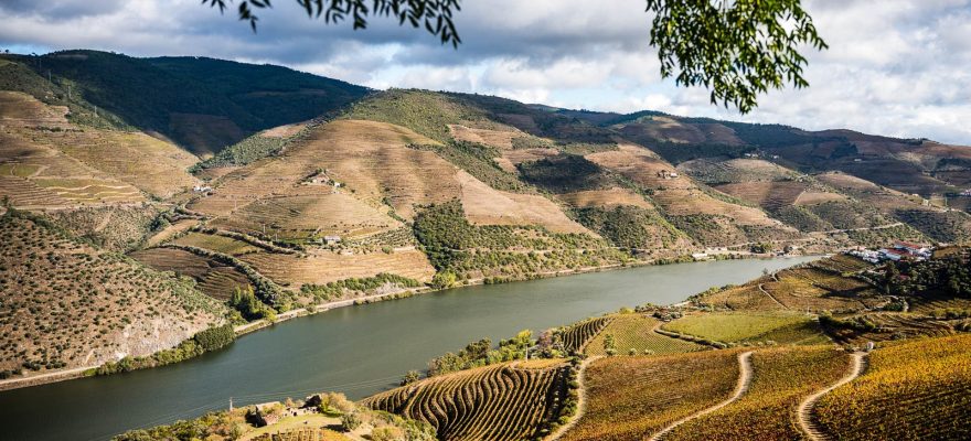 Photo de la vallée du Douro au Portugal