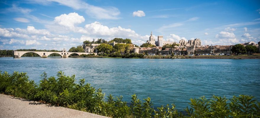 Vue sur la ville d'Avignon depuis l'île de la Barthelasse
